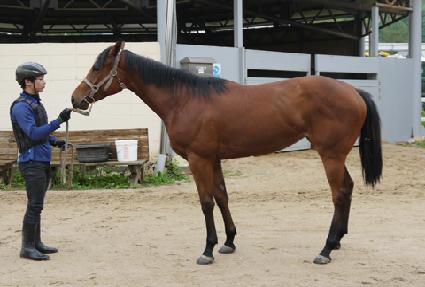 �����ϰ� ����