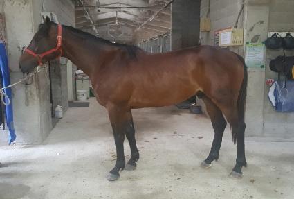 ���ν�Ÿ ����