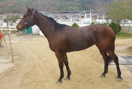 ����Ǯ��Ƽ ����