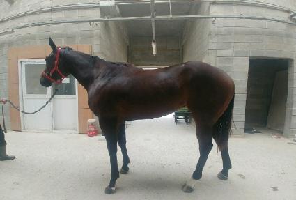 ���ϱ�� ����