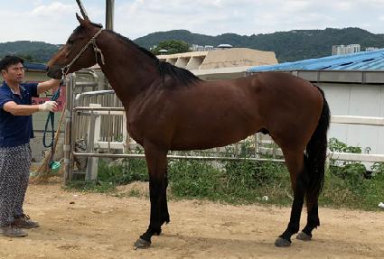 �ݾƾ�ũ�� ����