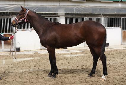 ��¼����� ����