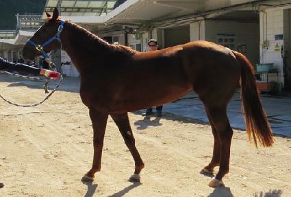 õ��¯ ����