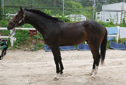 �̽���� ����