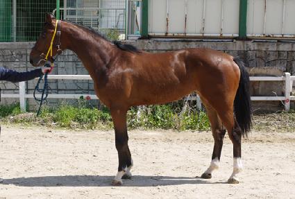 �����ν� ����