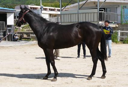 ����Ǯ���� ����