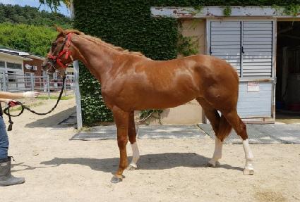 �λ� ����