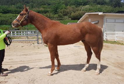 ����Ǯ��Ʈ�� ����