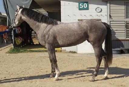 �������÷� ����