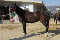 Ŭ������Ʈ (CLEAR HEART) ����