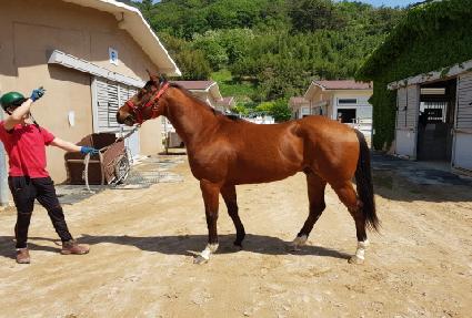 ��������Ƽ ����