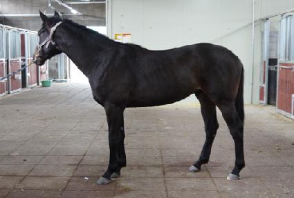 ��ΰ��� ����