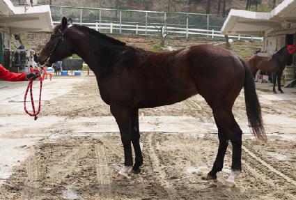 ������� ����