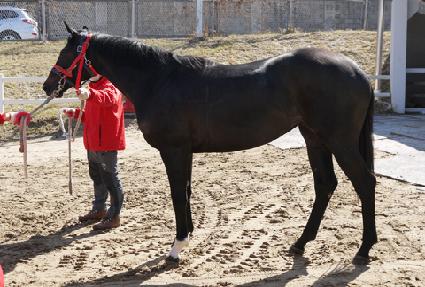 �������� ����