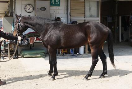 �̽���ķ�� ����