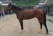 ť�ǵ����Ŀ (CUPID ATTACKER) ����