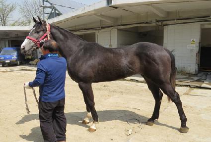 ���׺����̵� ����