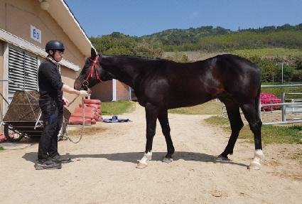 �ڸ��Ƹ� ����