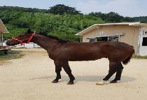 �ٷιٷ� (BARO BARO) ����