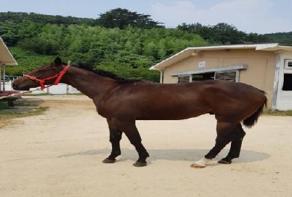 �ٷιٷ� ����