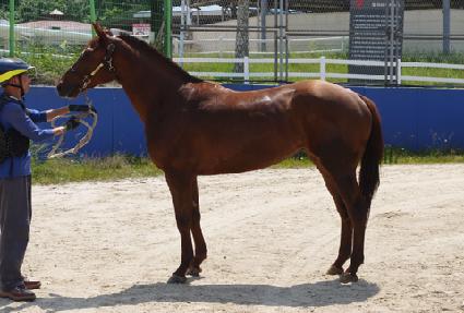 ķ�θŴϾ� ����