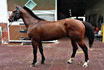 õ���ǽð� (CHEONNYEONUI SIGAN) ����