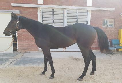 õ������� ����