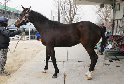 ��ī�� ����