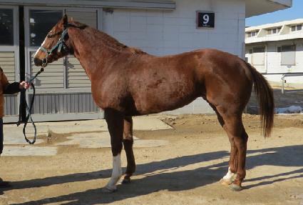 ���ǹ� ����