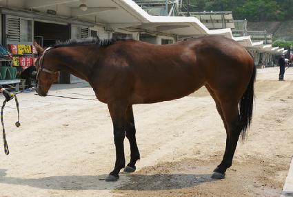 ���޴��� ����