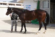 �����θ��� (SUNSHINE MARINE) ����