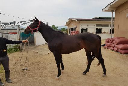 ����Ǯ���� ����