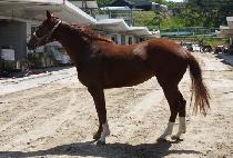 ���ο�� (SAEROUN BOBAE) ����