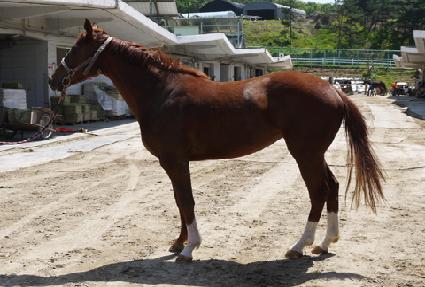 ���ο�� ����