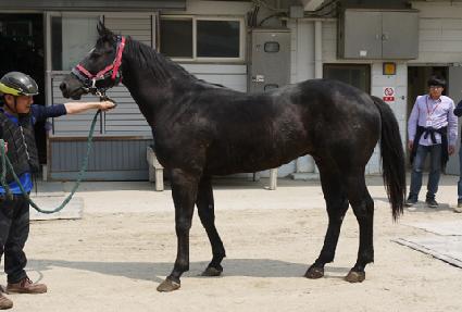 ����ũ��� ����