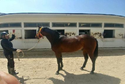 �ͺ����ǵ� ����