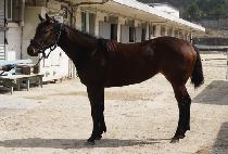 ��ī������ (SKY JUMP) ����