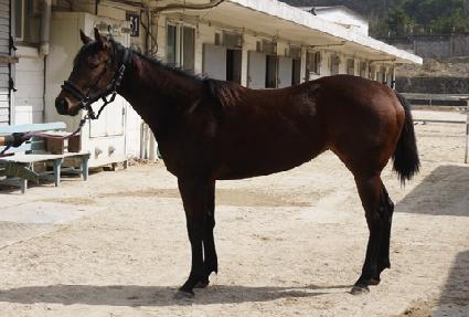 ��ī������ ����