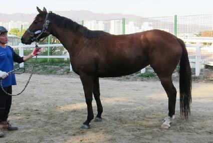 ���̽����� ����