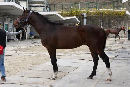 ������ӽ� ����