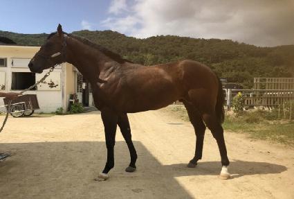 �д��Ǻ��Ѿ� ����