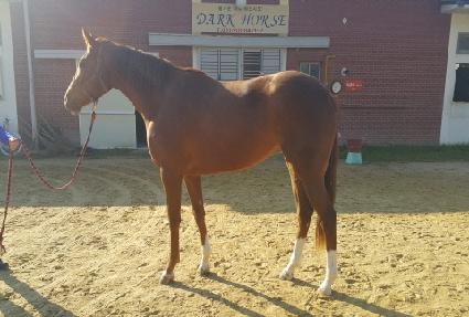 �����Ǿ� ����