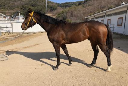 �ö��״��� ����