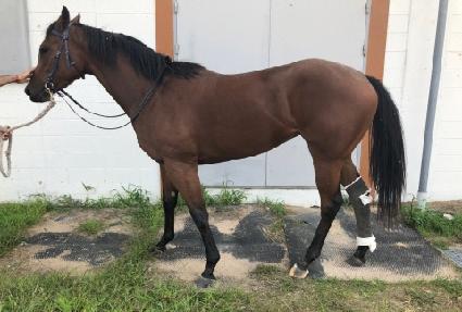 �����ǿ��� ����