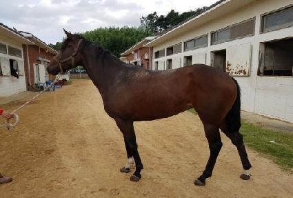 ���������� ����