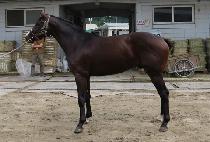 �������Լ� (BANJIUI HAMSEONG) ����