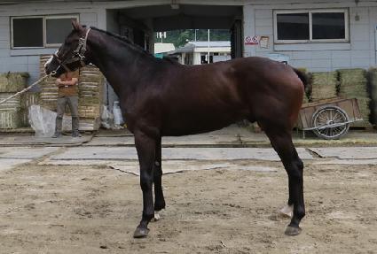 �������Լ� ����