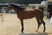 �屺�ǽô� (JANGGUNUI SIDAE) ����