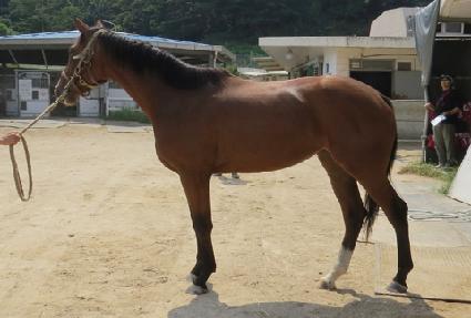 �屺�ǽô� ����