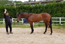 �屺������ (JANGGUNEUI JILJU) ����